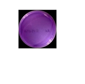Bromocresol Purple