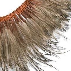 Emu Feather