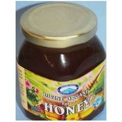Organic Sweet Honey