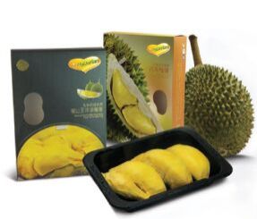 frozen durian seedpulp