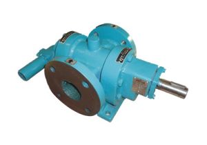 rotary twin gear pump