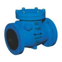 Reflux Valve Bolted Cover