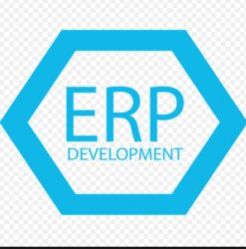 erp projects