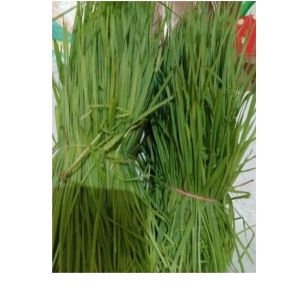 Organic Wheatgrass Leaf