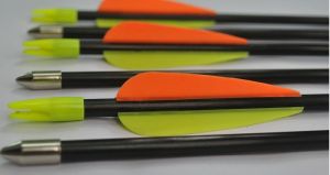 Fiberglass Arrow For Youth Archery