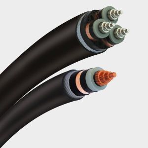 Fiber Optic and Electric Cable