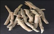 Withania Somnifera Roots