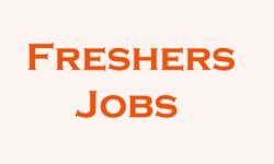 Freshers Jobs