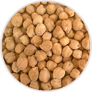 processed pulses