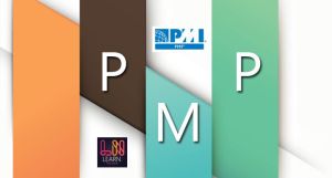 PMP Online Training Services