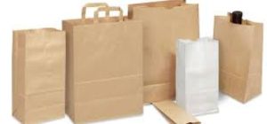 Paper bags for Restaurants and Hotel