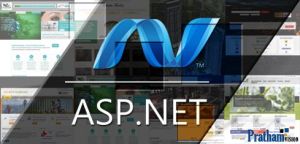 ASP.NET Web Development Services