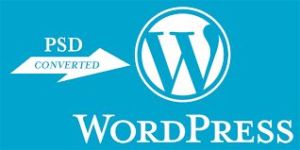 Psd to WordPress Web Development Services