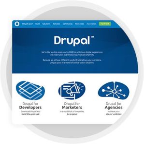 Drupal Web Development Service