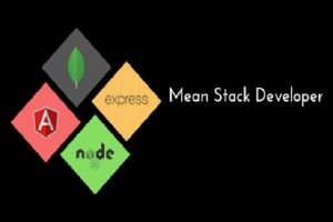 Mean Stack Course