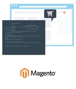 Hire Best Magento Developer