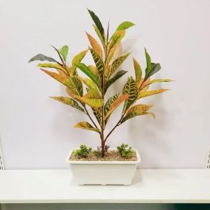 Artificial Croton Plant