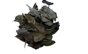 Neem Leaf Dried
