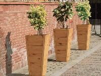 wooden planters