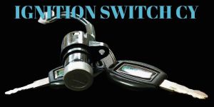 Motor Switches