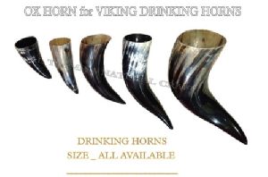 drinking horn