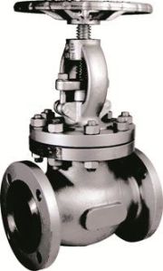 Super duplex globe valve manufacturer in USA