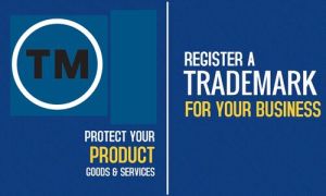 Logo Msme Trademark Registration Services