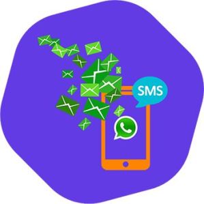 Bulk Whatsapp Services