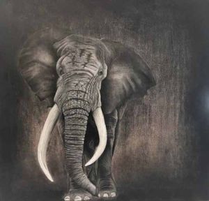 Elephant Charcoal Painting