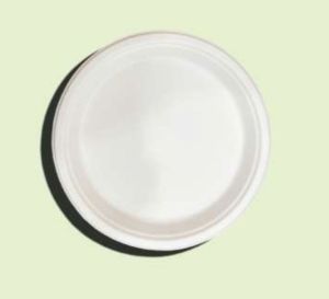 10 Inch Bagasse Round Plate