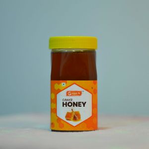 500g honey food grade jar