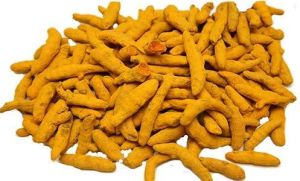 turmeric fingers turmeric fingers