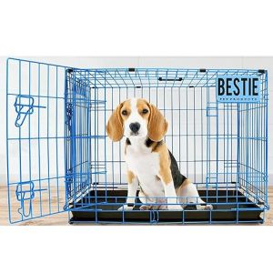 D-Crate 36 Inch Blue Dog Cage