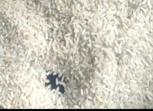 ir64 rice