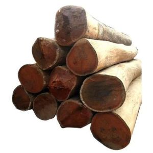 4×6 Inch Sal Wood Log