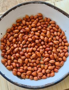 Groundnuts Seed