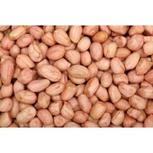 Best Quality Raw Peanuts for Sale