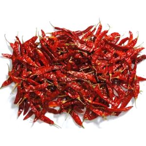 Guntur Dried Red Chilli
