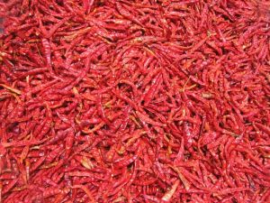 Dry Kashmiri Red Chilli