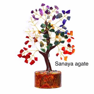 mini bonsai tree