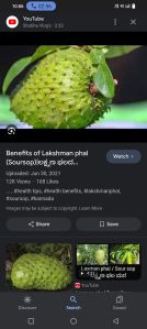 soursop fruit