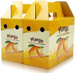 Fruit Packaging Boxes