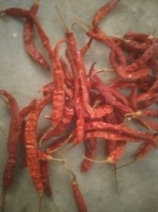 Dry Red Chilli