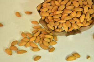 Kashmiri Almond  kernels