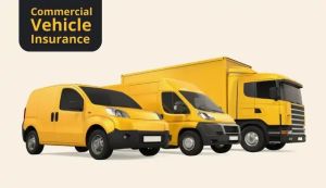 Commercial Vehicle Insurance Service