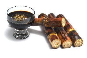 sugarcane molasses