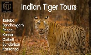Indian Wild Tours