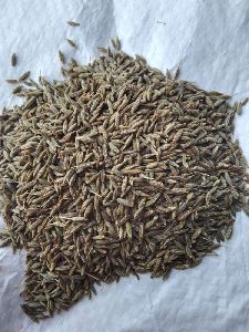 cumin seeds