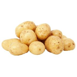 fresh potato