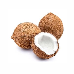 Coconut